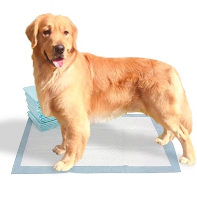 Giấy lụa Fluff Bột giấy SAP Tấm lót thú cưng dùng một lần cho chó