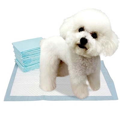 Huấn luyện nhanh nhẹn Tấm lót thú cưng dùng một lần Màu trắng 45x60cm 33x45cm 60x60cm
